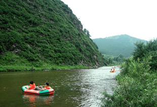 �����ɭ����Ȼ������